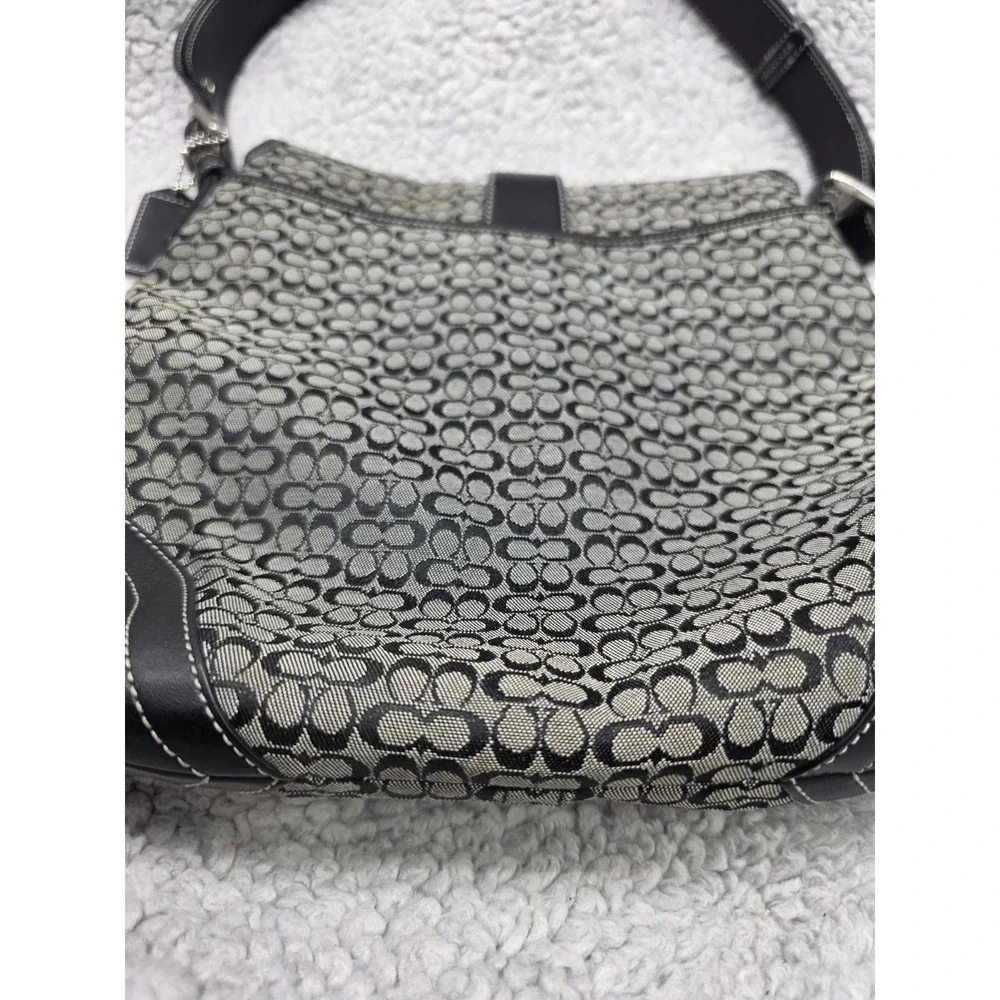 Coach bag overall